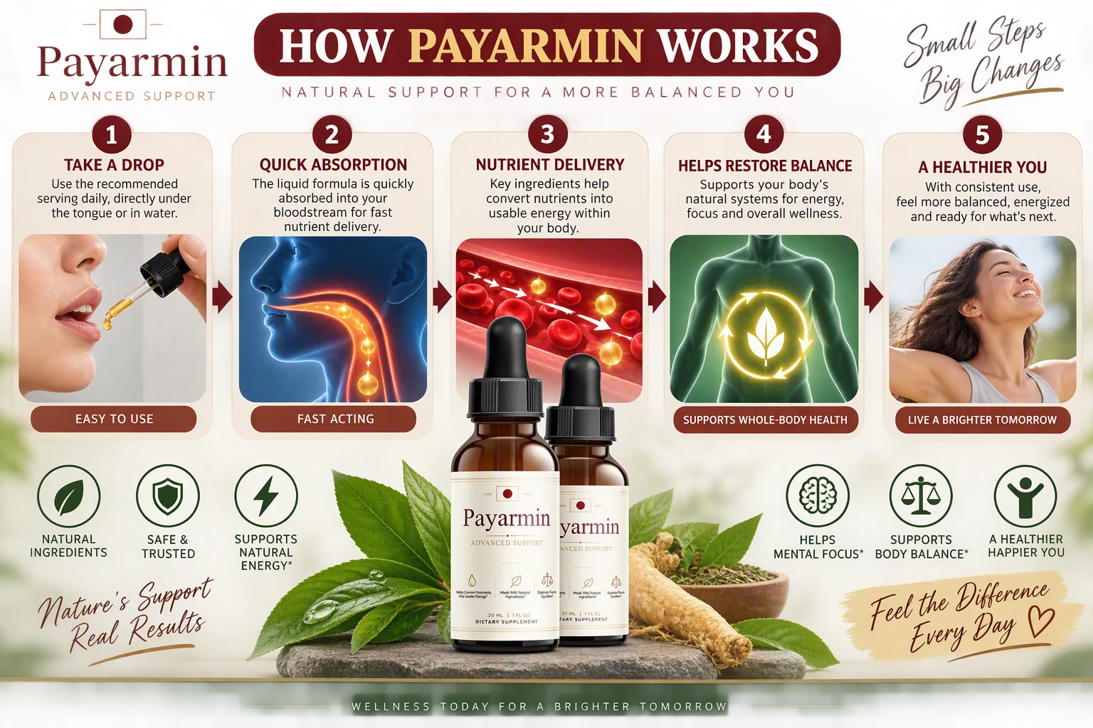 How Payarmin works